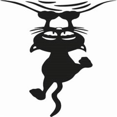 Crazy Cat Sticker
