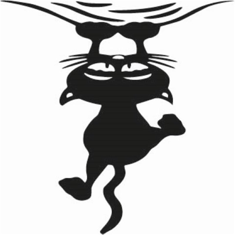 Crazy Cat Sticker Crazy Cat Sticker