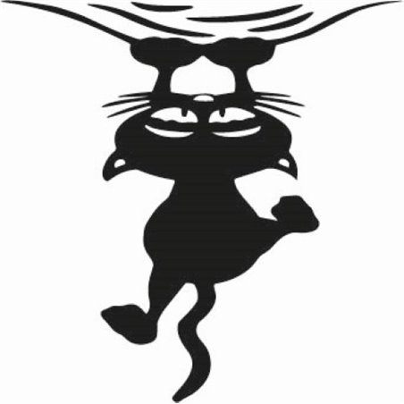 Crazy Cat Sticker