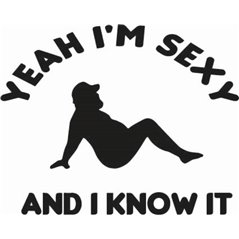I'm Sexy and I Know It Sticker 