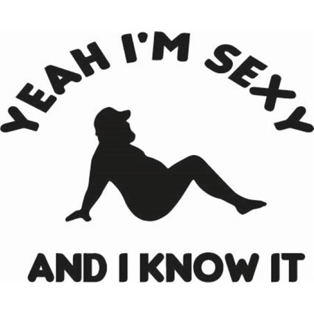 I'm Sexy and I Know It Sticker 