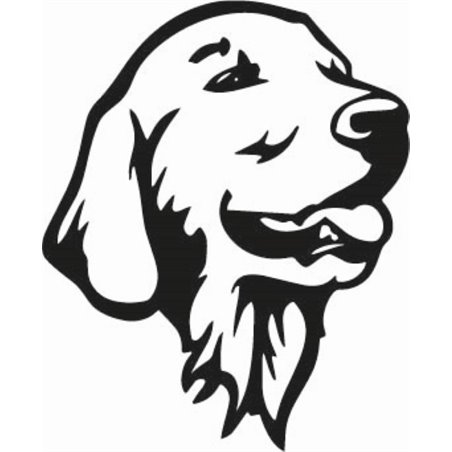 Retriever Dogs Head Sticker