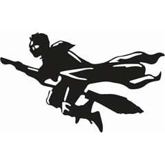 Harry Potter Quidditch