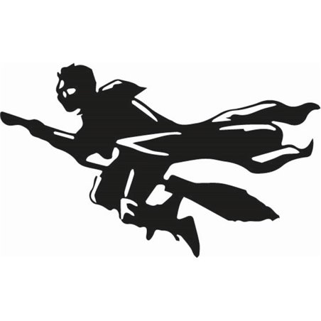Harry Potter Quidditch