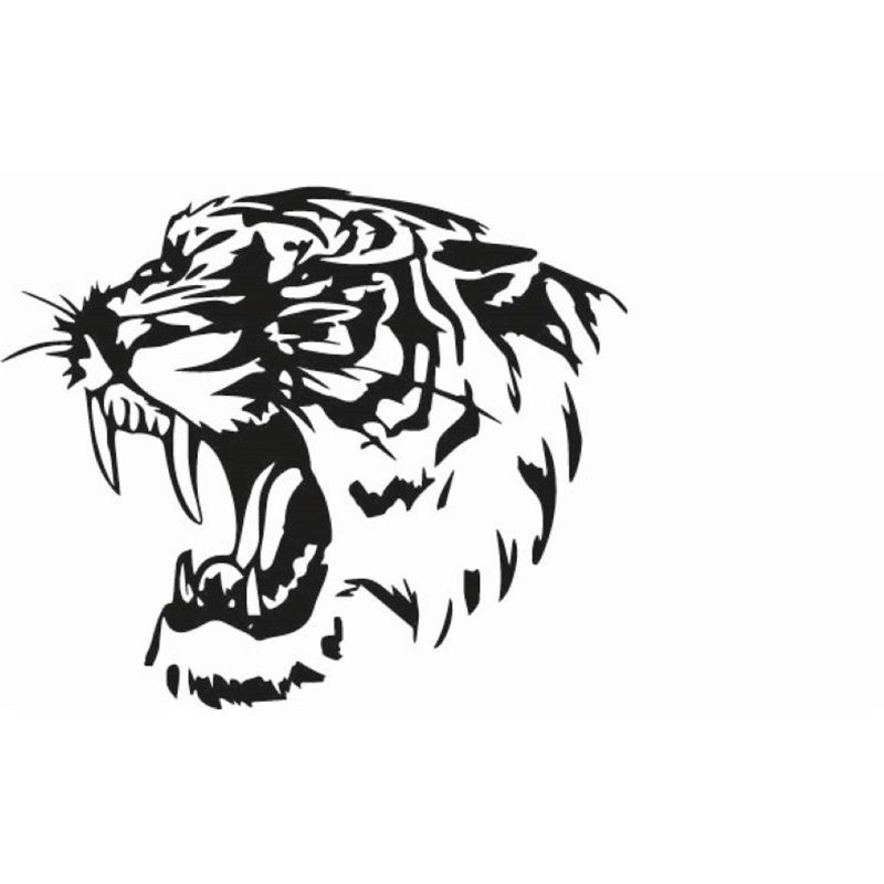 Roaring Tiger Head