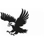 Eagel Sticker