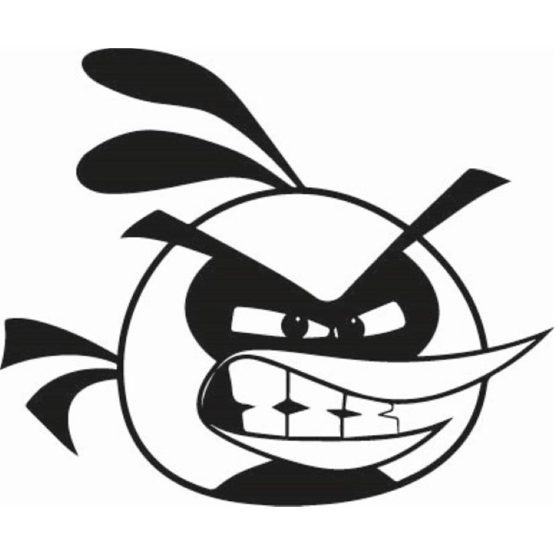 Angry Birds  Sticker