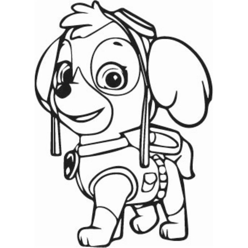 Paw Patrol Skye Paw Patrol Skye