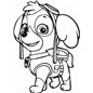 Paw Patrol Skye Paw Patrol Skye