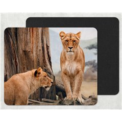 african lioness Mouse Mat