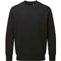 Anthem Organic Sweatshirt