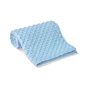 Brand Lab Minky Fleece Blanket