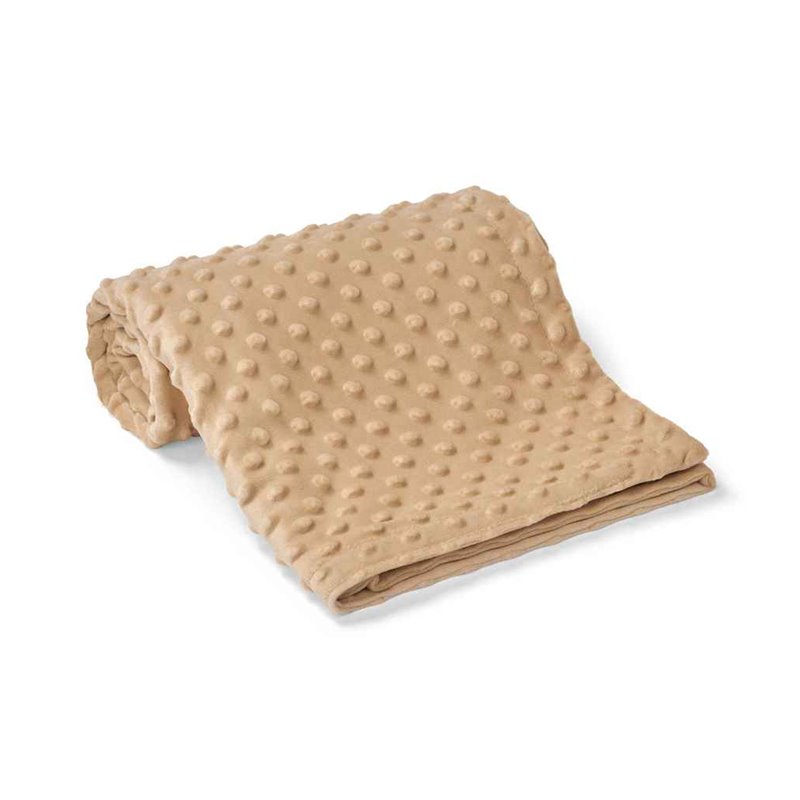 Brand Lab Minky Fleece Blanket