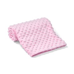 Brand Lab Minky Fleece Blanket