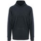 Ecologie Corcovado Organic Hoodie