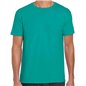 Gildan SoftStyle Adult T-Shirt
