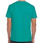 Gildan SoftStyle Adult T-Shirt