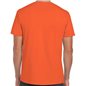 Gildan SoftStyle Adult T-Shirt