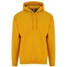 AWDis College Hoodie