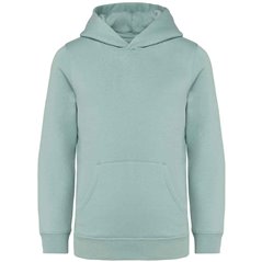 Native Spirit Kids Hooded Sweatshirt