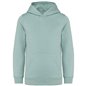 Native Spirit Kids Hooded Sweatshirt