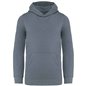 Native Spirit Kids Hooded Sweatshirt