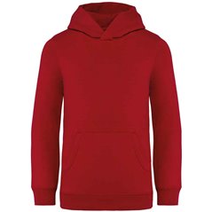 Native Spirit Kids Hooded Sweatshirt