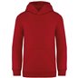 Native Spirit Kids Hooded Sweatshirt