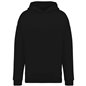 Native Spirit Unisex Oversized Hoodie