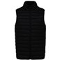 Native Spirit Light Recycled Bodywarmer
