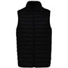 Native Spirit Light Recycled Bodywarmer