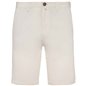 Native Spirit Chino Shorts