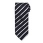 Premier Sports Stripe Tie