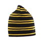 Result Team Reversible Beanie
