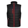 Regatta Navigate Thermal Bodywarmer