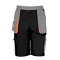 Result Work-Guard Lite Shorts