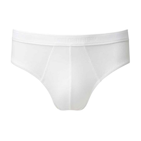 Fruit of the Loom Classic Sport Briefs